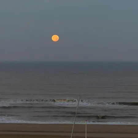 Parel Aan Zee In